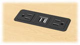 Power Panel - Two AC outlets and Double USB