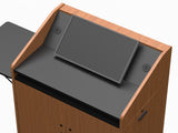 Monitor Mounting Bracket for Wedge Surface
