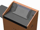 Monitor Mounting Bracket for Wedge Surface