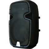 Wireless External Speaker with Microphone and Remote