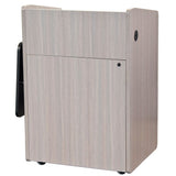 Economy Podium with Rack Mount - AVFI PD3004